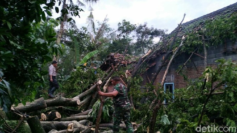 Puting Beliung di Blitar, Puluhan Pohon Tumbang Timpa Rumah Warga Puting Beliung di Blitar, Puluhan Pohon Tumbang Timpa Rumah Warga
