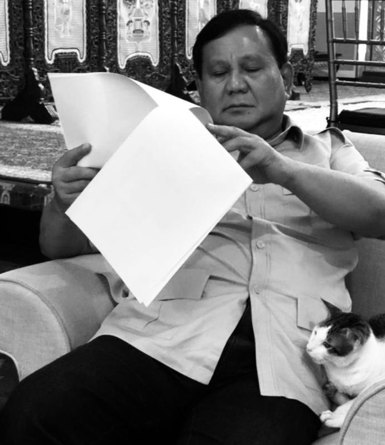 Jelang Debat Capres, Prabowo Baca Berkas Ditemani Bobby The Cat Jelang Debat Capres, Prabowo Baca Berkas Ditemani Bobby The Cat