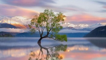 Jepretan memukau danau Wanaka, di New Zealand. (Foto: Boredpanda)