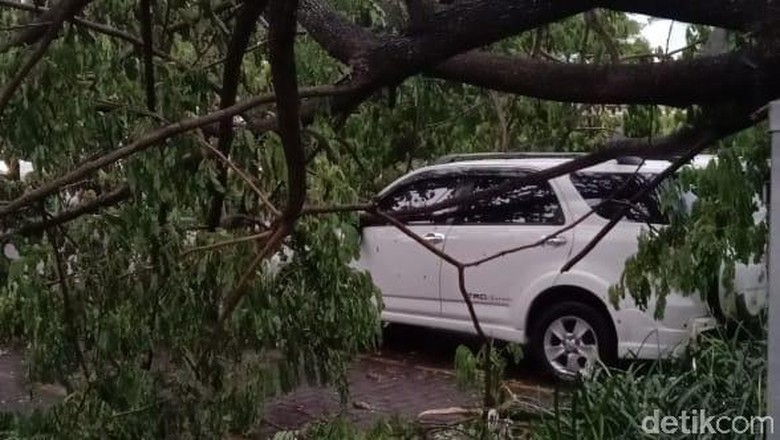 Hujan Lebat di Sukoharjo, Pohon Tumbang Timpa Mobil dan Rumah Hujan Lebat di Sukoharjo, Pohon Tumbang Timpa Mobil dan Rumah