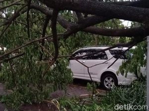 Hujan Lebat di Sukoharjo, Pohon Tumbang Timpa Mobil dan Rumah