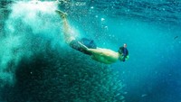 Salah satu spot menyelam yang pernah dikunjunginya adalah Raja Ampat yang terletak di Papua Barat. (dok. pribadi Tommy Tjokro)