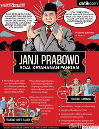 Janji Prabowo soal Ketahanan Pangan
