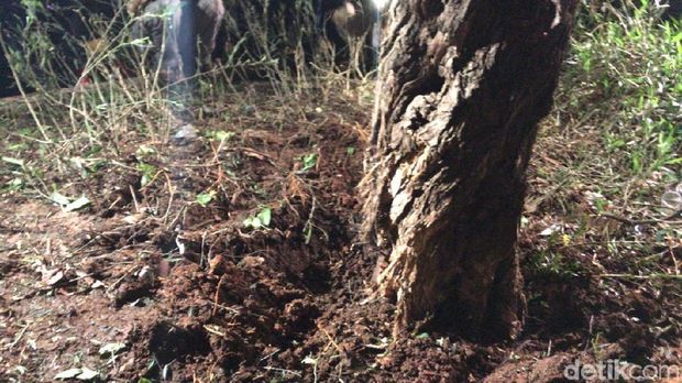 Ini Lokasi Ledakan Petasan di Bawah Pohon Parkir Timur Senayan