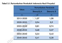 Pertumbuhan Penduduk Indonesia – Newstempo