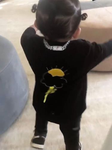 Kalung Stormi Webster