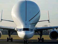Airbus Beluga XL, Pesawat Raksasa Mirip Paus Terbang