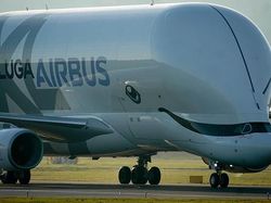 Airbus Beluga XL, Pesawat Raksasa Mirip Paus Terbang