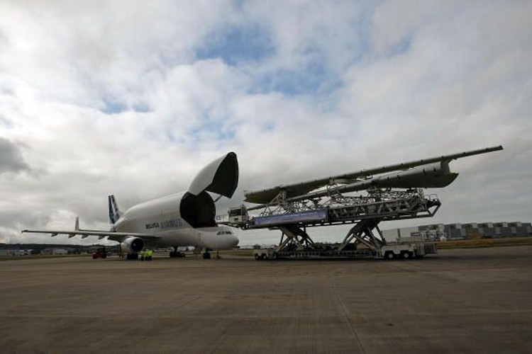 Airbus Beluga XL Pesawat  Raksasa Mirip Paus Terbang  