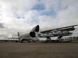 Airbus Beluga XL, Pesawat Raksasa Mirip Paus Terbang
