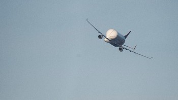 Dia dapat mengangkut sampai dua sayap pesawat terbang. Foto: Reuters