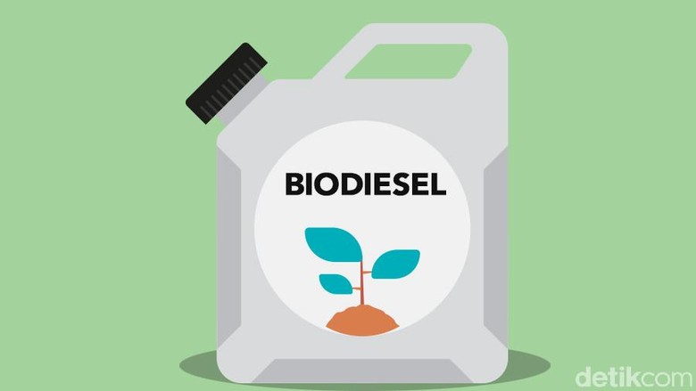 Biodisesel. Foto: Tim Infografis: Luthfy Syahban Biodisesel. Foto: Tim Infografis: Luthfy Syahban