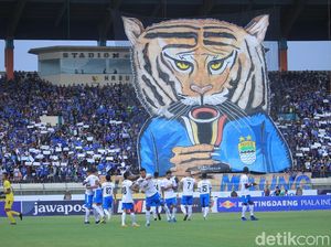 Perjuangan dan Loyalitas di Balik Megahnya Koreografi Suporter Persib