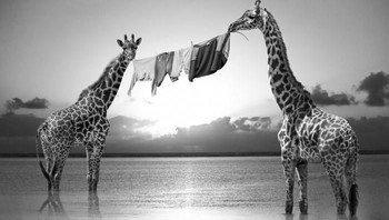 Jadi jemuran. Foto: Thomas Subtil