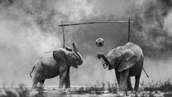 Pada 2013, Subtil coba pergi ke Kenya. Foto: Thomas Subtil