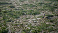 Pada 2014, sebuah media Inggris menayangkan laporan dokumenter soal pencemaran Sungai Citarum yang berjudul Unreported World, The Worlds Dirtiest River. Hal itu senada dengan data dari Dinas Lingkungan Hidup yang menyebutkan bahwa setiap harinya Sungai Citarum menerima 1.500 ton sampah baik dari sampah rumah tangga maupun limbah industri.