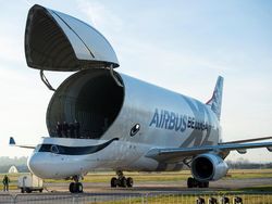 Airbus Beluga XL, Pesawat Raksasa Mirip Paus Terbang