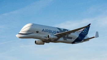 Beluga XL panjangnya 63,1 meter, tinggi 18,9 meter dan bisa membawa barang sampai 52 ton, 30% lebih banyak dari generasi sebelumnya. Foto: Reuters