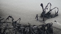 Sejumlah pabrik nakal membuang limbah pabrik tanpa diolah sehingga meracuni ekosistem yang ada di sekitar Sungai Citarum.