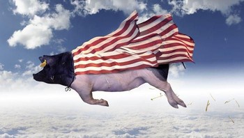 Babi terbang. Foto: Thomas Subtil