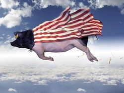 Kocak! Aksi Hewan Ketika Tidak Dilihat Manusia