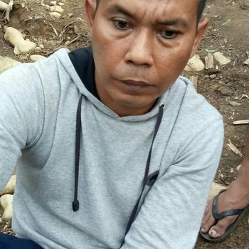 Petualangan Sarwin Tanam Ganja 1,5 Hektare di Purwakarta