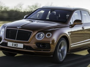 Bukan Lamborghini Urus, SUV Tercepat di Dunia dari Bentley