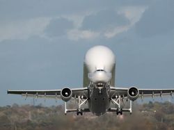 Airbus Beluga XL, Pesawat Raksasa Mirip Paus Terbang