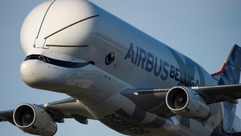 Bentuknya seperti paus sehingga dijuluki paus terbang. Foto: Reuters