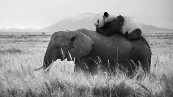 Seperti umumnya, dia memanfaatkan Photoshop untuk membantunya menciptakan imajinasi ini. Foto: Thomas Subtil