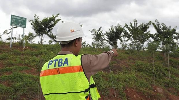 Menilik Bekas Tambang yang Jadi Hutan Kota Menurut Jokowi