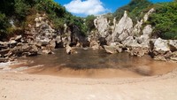 Yang membuat pantai ini unik karena tak ada pemandangan laut, tapi malah padang rumput dan pepohonan. 