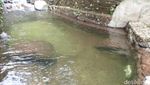 Foto: Air Terjun Cantik dekat Tol Trans Jawa Semarang