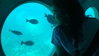 Saat liburan di Odyssey Submarine Bali. (anishadasuki/Instagram)