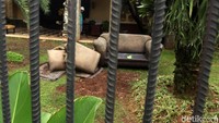 Diantara barang yang terbakar adalah sopa dan sajadah.
