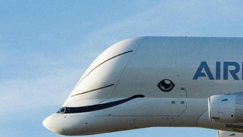 Menarik atau malah aneh? Foto: Reuters