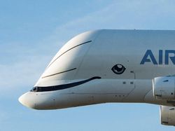Airbus Beluga XL, Pesawat Raksasa Mirip Paus Terbang