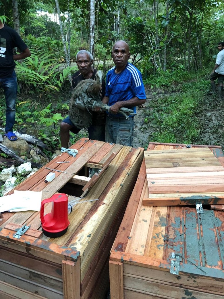 8 Ekor Kasuari Dilepasliarkan ke Papua 8 Ekor Kasuari Dilepasliarkan ke Papua