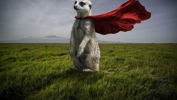 Dia mengaku mendapat pandangan berbeda kala menjelajahi negara di benua Afrika itu. Foto: Thomas Subtil