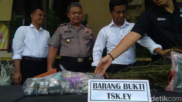 Polresta Yogya Ringkus Pengedar dan Penanam Ganja 1,5 Hektare