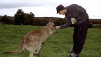 Masih di Sirkuit Phillip Island dan juga di tahun 1999, Rossi memberi makan kanguru di sela-sela gelaran GP Australia (Robert Cianflone /Allsport)