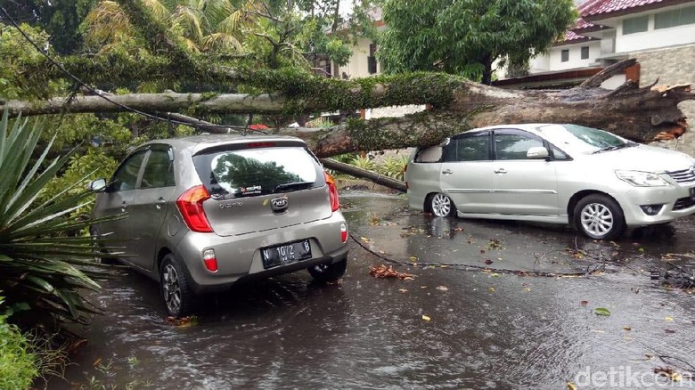 Malang Dilanda Hujan Angin, Sejumlah Pohon Tumbang Timpa Kendaraan Malang Dilanda Hujan Angin, Sejumlah Pohon Tumbang Timpa Kendaraan