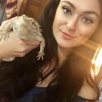 Sejak kecil Adri memang sudah mencintai binatang. Wanita 31 tahun ini, kini berbagi rumah dengan 22 babi, 12 anjing, delapan ayam, enam kucing, empat burung beo, empat kuda, empat burung merak, empat tikus, tiga marmut, dua kambing, dua bebek, dua sapi, dua anak sapu, dua alcapa, dua musang, kadal, hamster, kelinci, hingga ular piton. Foto: Instagram/@adrirachelle