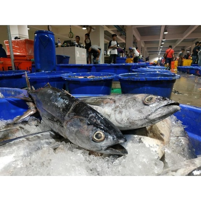 5 Fakta Pasar Ikan Modern Muara Baru yang Mirip Pasar Tsukiji Tokyo