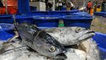 Keren dan Bersih! Pasar Ikan Modern Muara Baru yang Diresmikan Jokowi