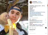 Duh Gemas! Pawang Hewan Ganteng Ini Asyik Makan Pisang Bareng 3 Monyet
