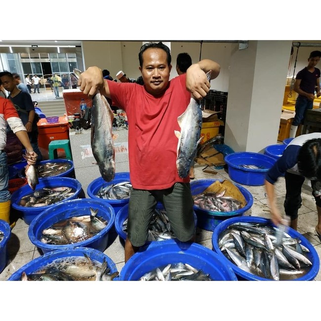 5 Fakta Pasar Ikan Modern Muara Baru yang Mirip Pasar Tsukiji Tokyo