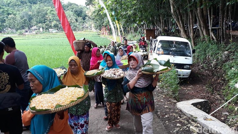 Warga Bantul Gelar Wiwitan, Tanda Syukur Saat Panen Raya Warga Bantul Gelar Wiwitan, Tanda Syukur Saat Panen Raya