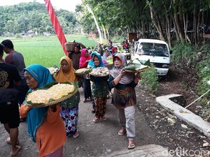 Warga Bantul Gelar Wiwitan, Tanda Syukur Saat Panen Raya