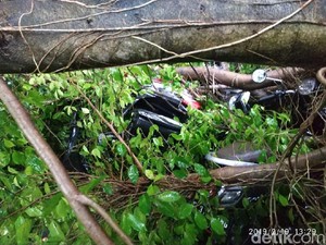 23 Titik Pohon Tumbang di Malang, Pasutri Jadi Korban